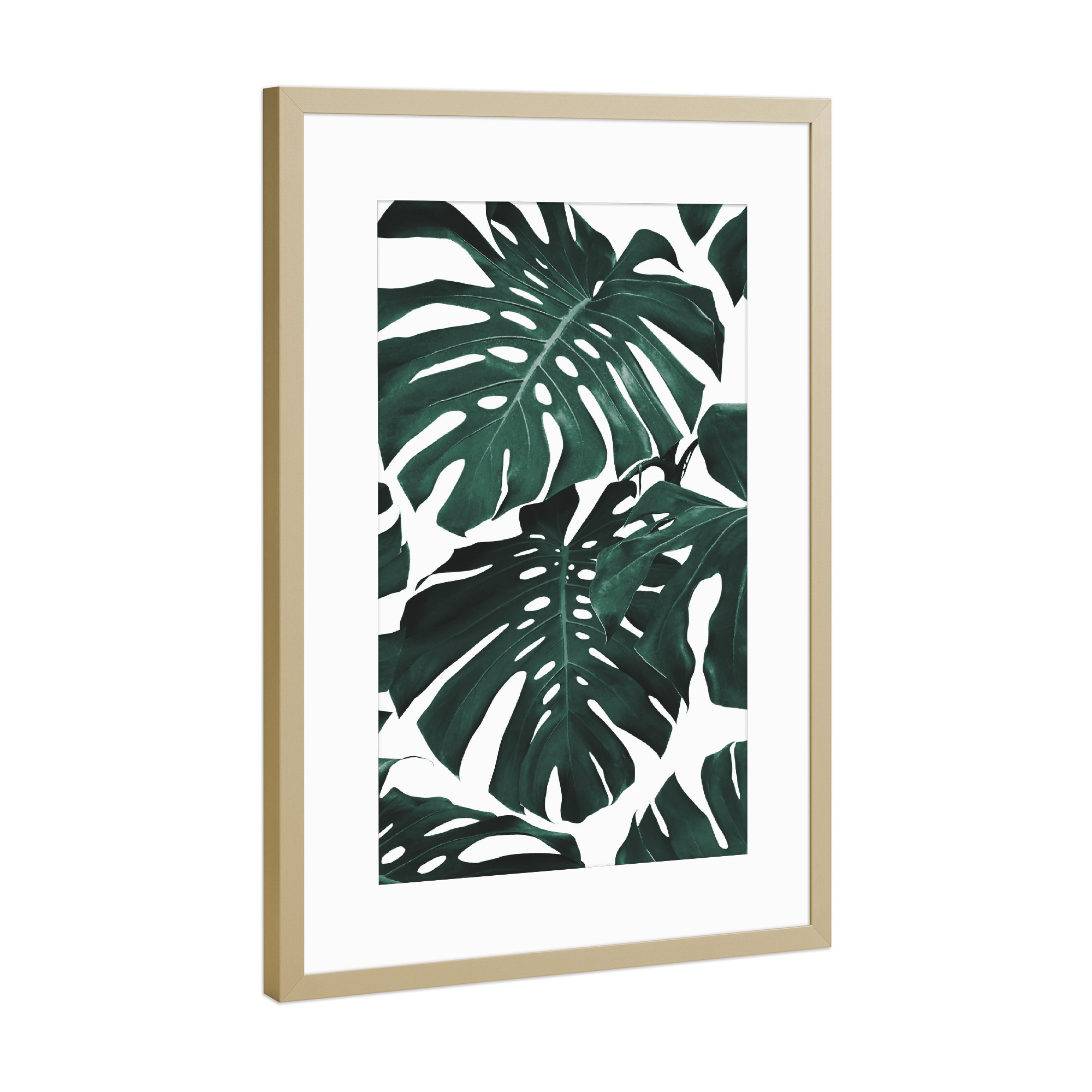 Poster mit Rahmen Gold "Monstera leaves Pattern" artboxONE - Natur,Floral