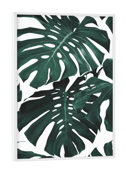Poster mit weißem Rahmen "Monstera leaves Pattern" artboxONE - Natur,Floral