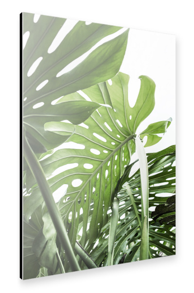 Alu-Dibond "Jungle" 30x20 cm artboxONE