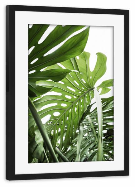 Poster mit Rahmen schwarz "Jungle" artboxONE - Natur,Floral
