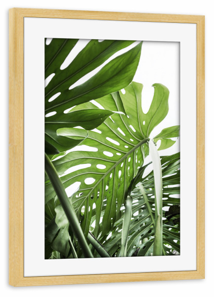 Poster mit Rahmen kiefer "Jungle" artboxONE - Natur,Floral