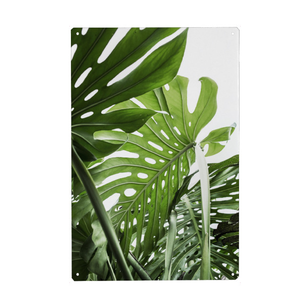 Metall Poster "Jungle" artboxONE - Natur,Floral