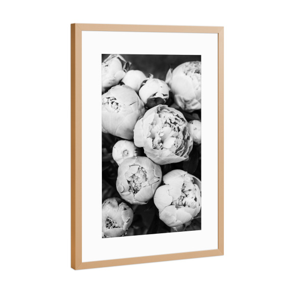 Poster mit Rahmen Kupfer "Peonies 2" artboxONE - Natur,Floral,Schwarzweiß