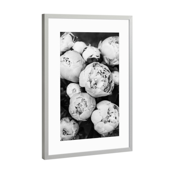 Poster mit Rahmen Silber "Peonies 2" artboxONE - Natur,Floral,Schwarzweiß