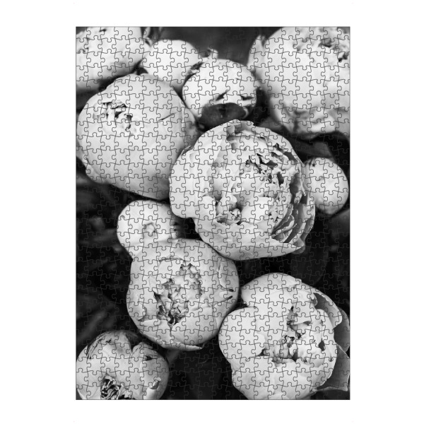 artboxONE Puzzle "Peonies 2" artboxONE - Natur,Floral,Schwarzweiß