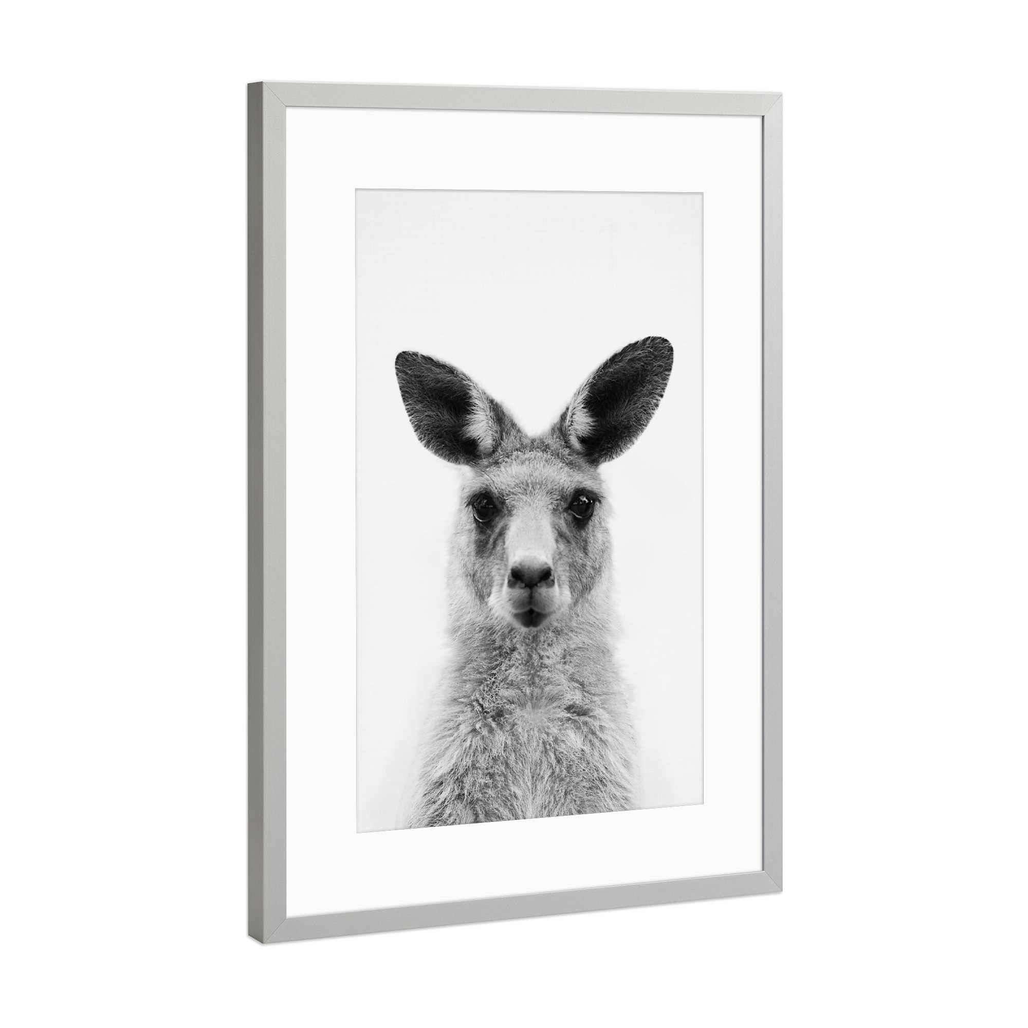 Poster mit Rahmen Silber "Kangaroo" artboxONE - Tiere,Schwarzweiß - Kangaroo,Zoo,Animal,Animal portrait,Australia,Wallaby,Animal face,Känguru