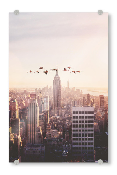 Acrylglasbild "Flamingos in New York" artboxONE - Städte / New York,Reise,Tiere,Abstrakt,Fiktion