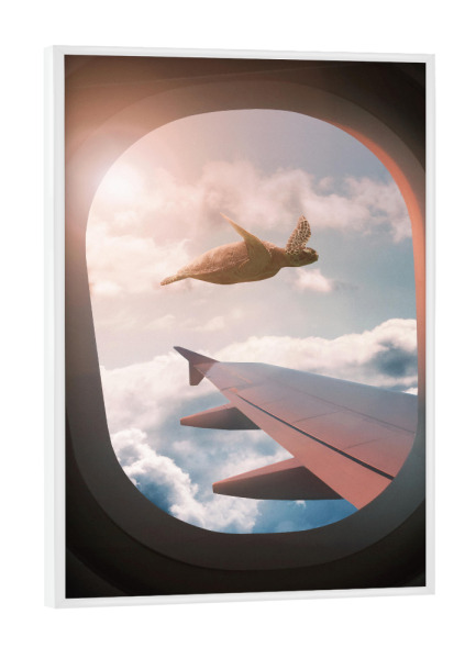 Poster mit weißem Rahmen "Flying Sea Turtle" artboxONE - Reise,Tiere,Abstrakt,Fiktion,Lustig