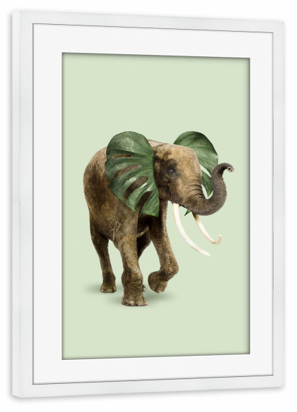 Poster mit Rahmen weiß "Philophant" artboxONE - Natur,Floral,Tiere,Abstrakt,Reise / Afrika,Fiktion