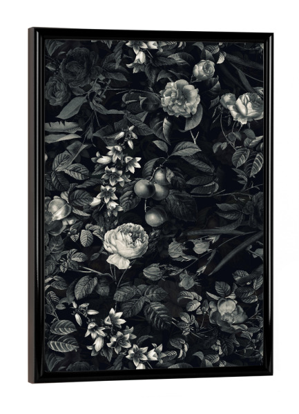 Poster mit schwarzem Rahmen "Black Forest III" artboxONE - Floral - Botanical,Tropical,Garden,Forest,Vintage,Retro,Dark,Black,Night