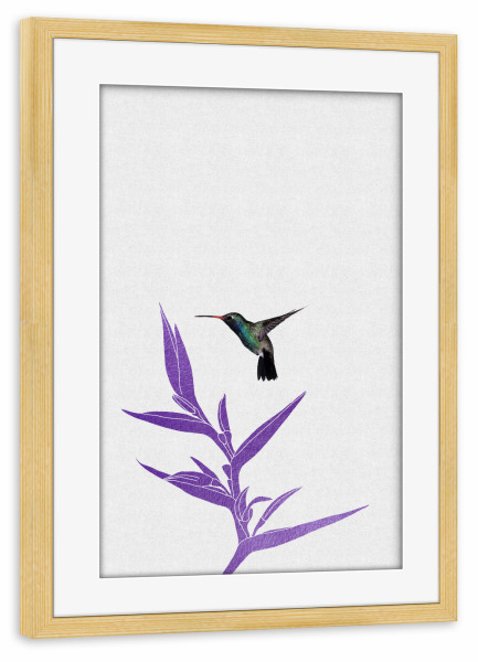 Poster mit Rahmen kiefer "Hummingbird & Purple Flower I" artboxONE - Natur,Floral,Tiere,Abstrakt,Ultraviolet