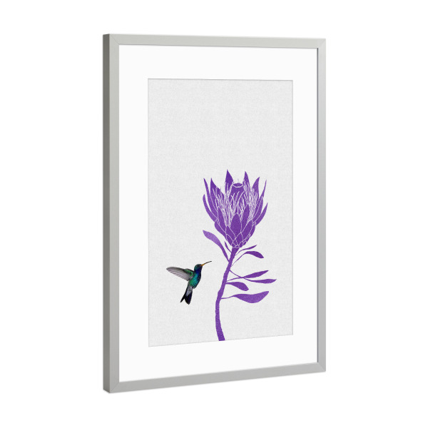 Poster mit Rahmen Silber "Hummingbird & Purple Flower II" artboxONE - Natur,Floral,Tiere,Abstrakt,Ultraviolet