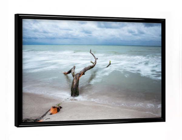 Poster mit schwarzem Rahmen "Am Meer" artboxONE - Natur,Reise / Strand und Meer - Meer,Wasser,Strand,Baum