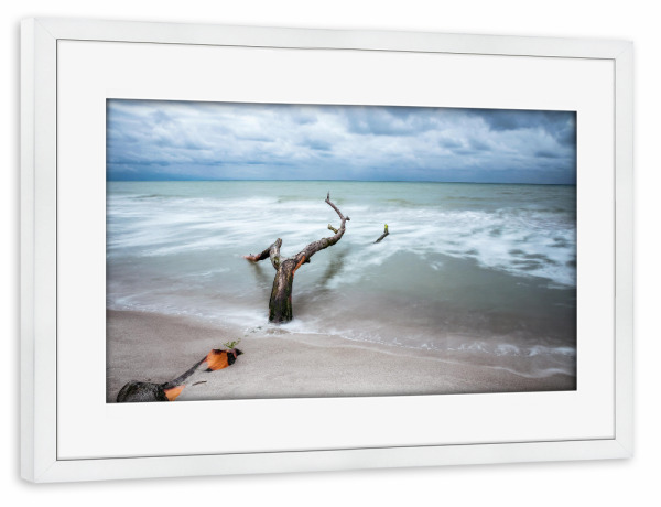 Poster mit Rahmen weiß "Am Meer" artboxONE - Natur,Reise / Strand und Meer - Meer,Wasser,Strand,Baum