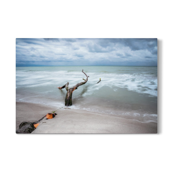 Galerie-Print "Am Meer" 30x20 cm artboxONE