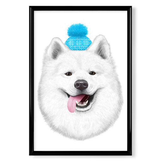 Samoyed