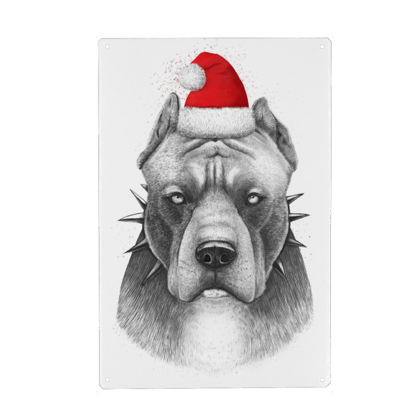 Metall Poster "Christmas pitbull" artboxONE - Natur,Tiere,Menschen,Schwarzweiß,Liebe,Sport,Für Papa,Männer,Lustig