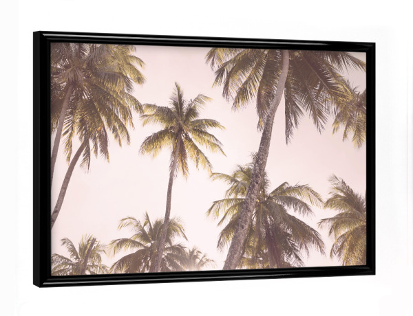 Poster mit schwarzem Rahmen "Blush Palms" artboxONE - Natur,Reise - Erröten sie rosa,Palme,Palmen,Reise,Fotografie,Tropisch