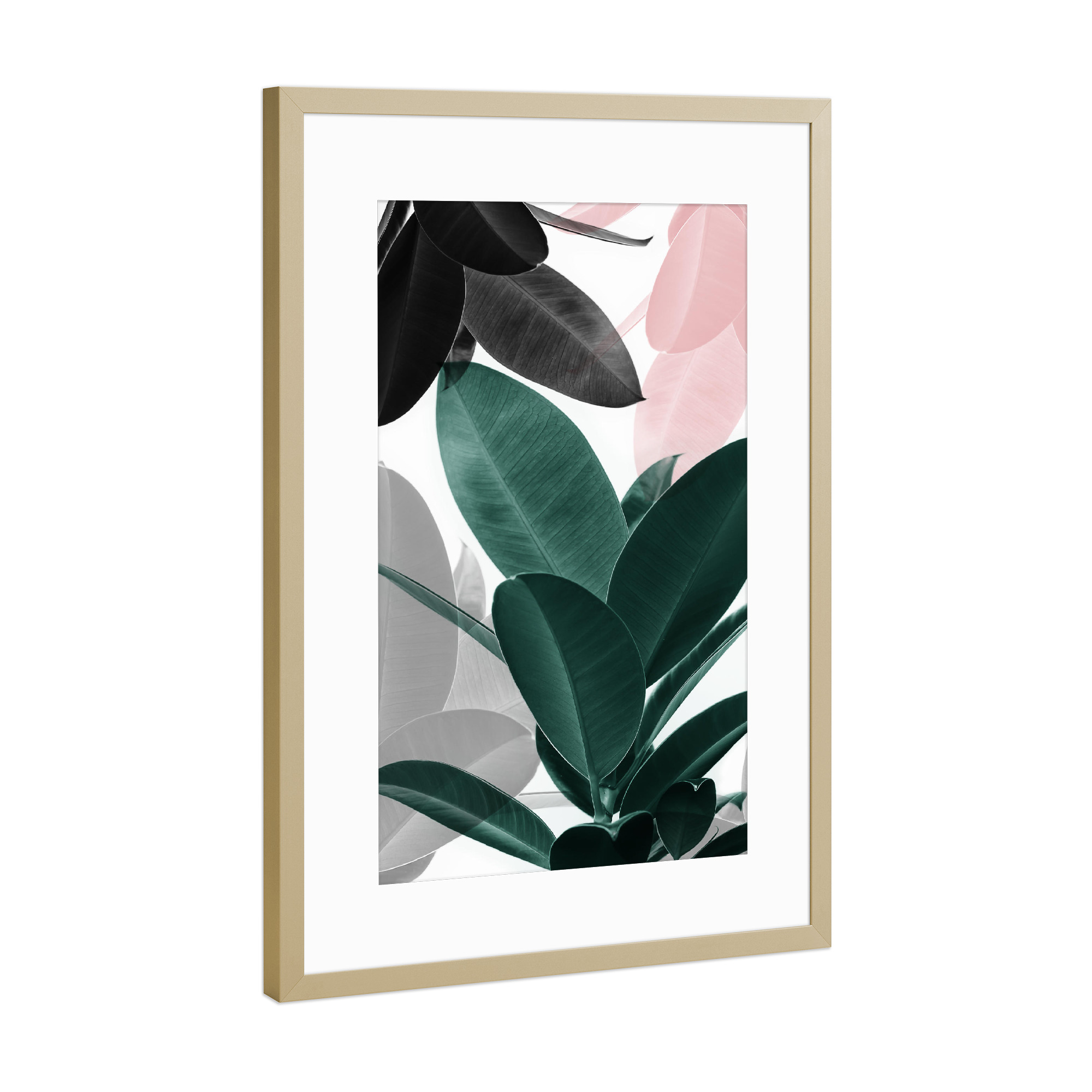 Poster mit Rahmen Gold "Leaf Play" artboxONE - Natur,Floral - Ficus,Blätter,Palmblatt,Tropisch,Anspruchsvoll,Skandinavisch,Fotografie,Collage,Modern
