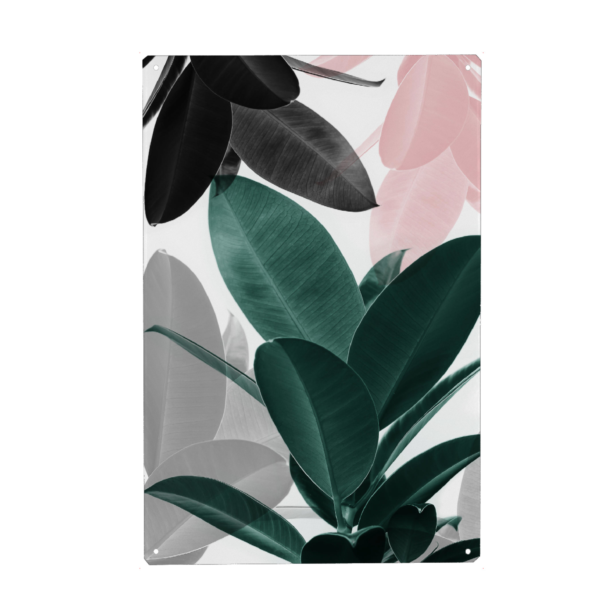 Metall Poster "Leaf Play" artboxONE - Natur,Floral - Ficus,Blätter,Palmblatt,Tropisch,Anspruchsvoll,Skandinavisch,Fotografie,Collage,Modern