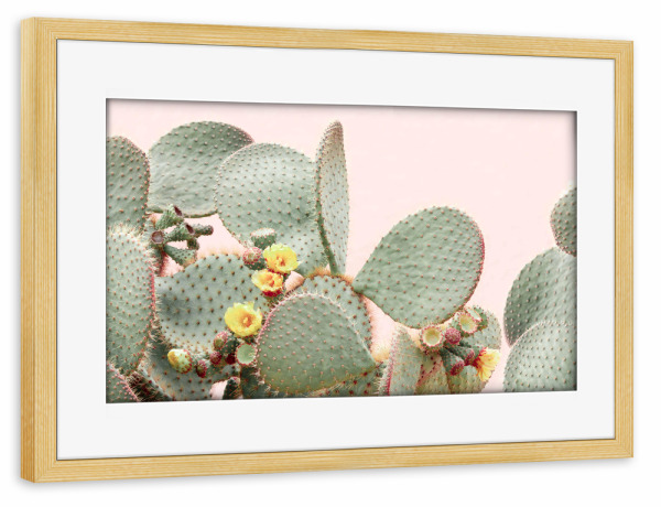 Poster mit Rahmen kiefer "Flower Cacti" artboxONE - Natur,Floral - Kaktus,Blume,Kaktus blume,Kaktusfeige,Boho,Fotografie