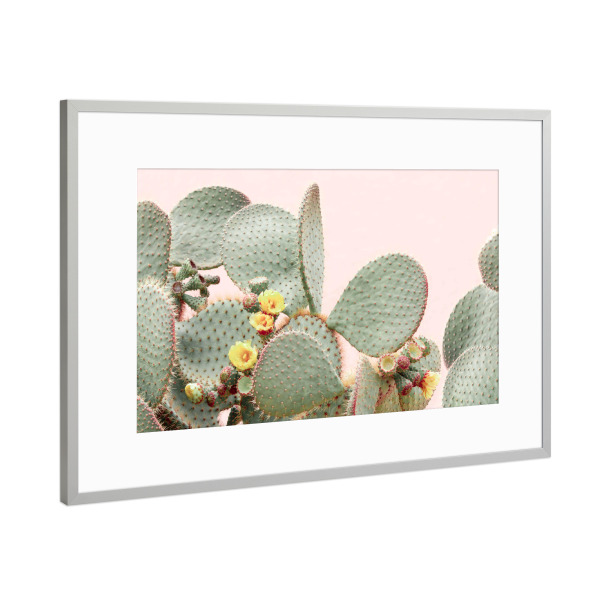 Poster mit Rahmen Silber "Flower Cacti" artboxONE - Natur,Floral - Kaktus,Blume,Kaktus blume,Kaktusfeige,Boho,Fotografie