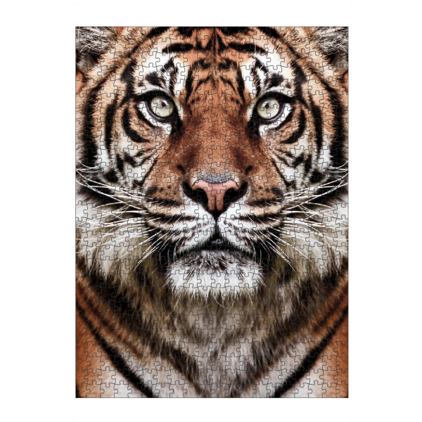Puzzle Ravensburger "Tiger Face" artboxONE - Tiere,Reise / Afrika - Tiger,Tier,Porträt,Große katze,Wilde katze,Tierwelt,Dschungel,Fotografie