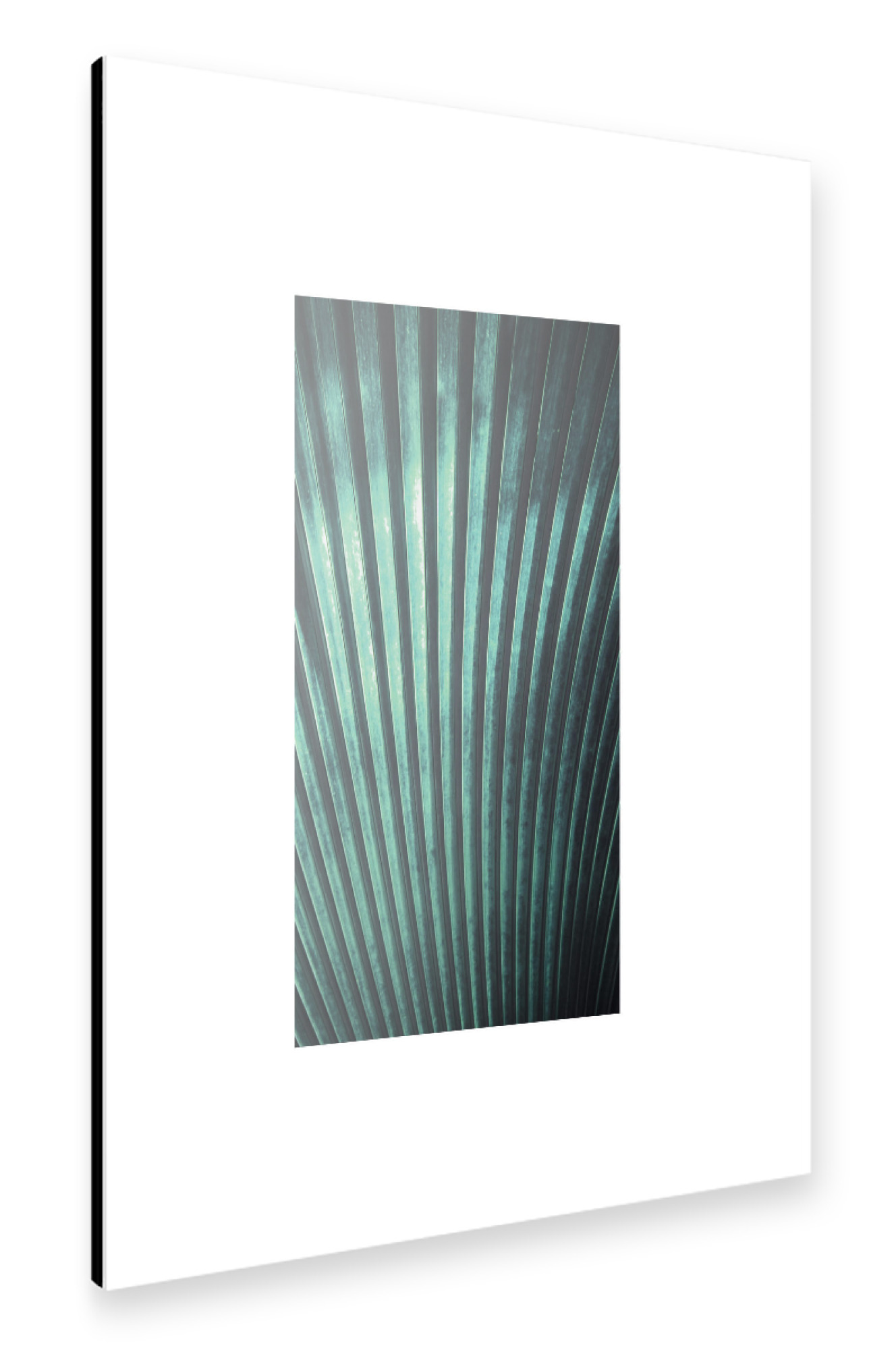 Alu-Dibond "Palmenblatt" 75x50 cm artboxONE
