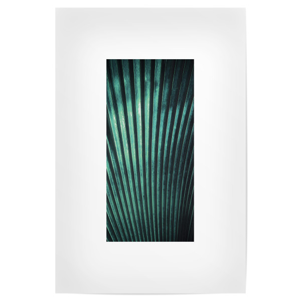 Poster 30x20 cm "Palmenblatt" artboxONE - Natur,Floral,Abstrakt