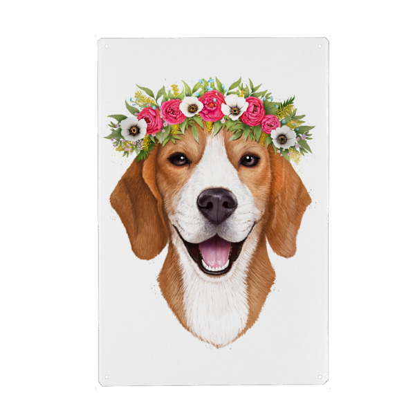 Metall Poster "Beagle with flowers" artboxONE - Floral,Tiere,Lustig
