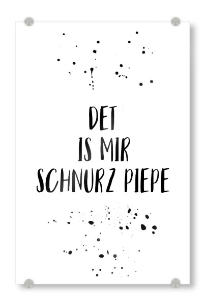 Acrylglasbild "DET IS MIR SCHNURZ PIEPE" artboxONE - Typografie,Schwarzweiß,Lustig
