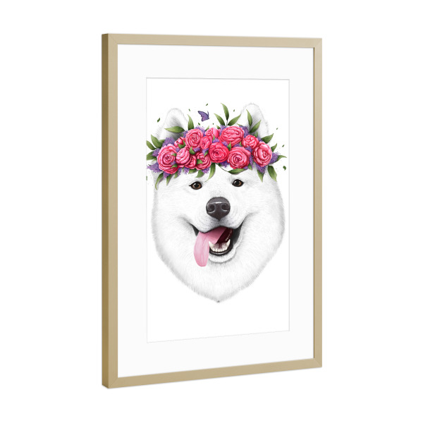 Poster mit Rahmen Gold "Samoyed with flowers" artboxONE - Floral,Für Kinder,Tiere,Fashion