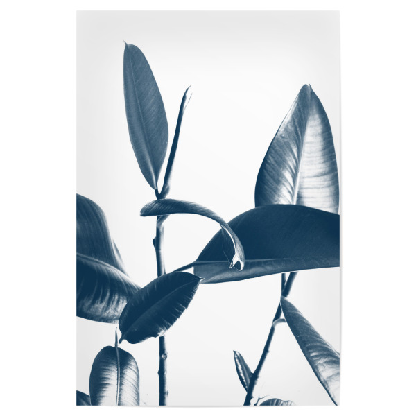 Poster "Greenery Leaves Two" artboxONE - Natur,Schwarzweiß - Greenery,Leaf,Leaves,Double,Tropical,Blue,White