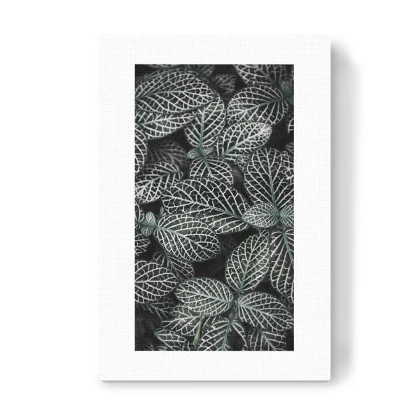 Leinwandbild "Nature Leafs" artboxONE - Natur,Floral,Abstrakt - Natur,Blatt,Pflanze,Palmenhaus,Fotografie,Botanisch,Tropisch,Floral,Minimalistisch