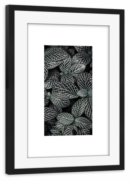 Poster mit Rahmen schwarz "Nature Leafs" artboxONE - Natur,Floral,Abstrakt