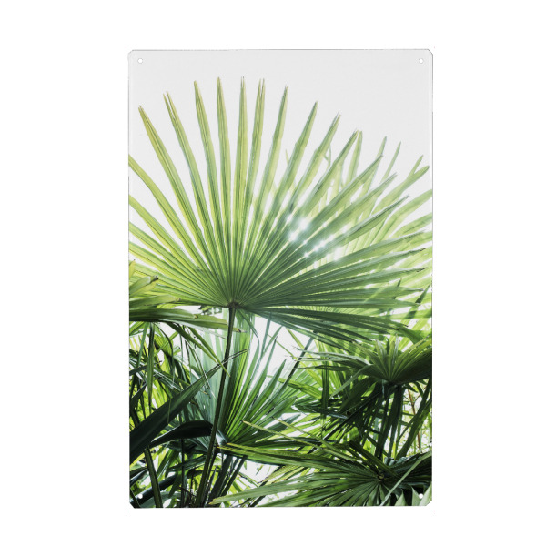 Metall Poster "Palm Tree Garden" artboxONE - Natur - Palmenblatt,Palmen,Tropische,Tropische pflanze,Botanische,Fotografie,Dschungel - Blechschild