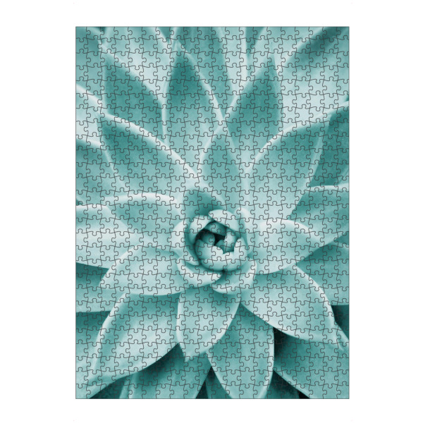 Puzzle Ravensburger "Succulent in Mint" artboxONE - Natur,Arcadia - Arcadia,Sukkulente,Pflanze,Fotografie,Kaktus,Makro - Bild arcadia