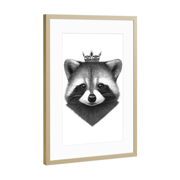 Poster mit Rahmen Gold "Queen raccoon" artboxONE - Tiere,Schwarzweiß