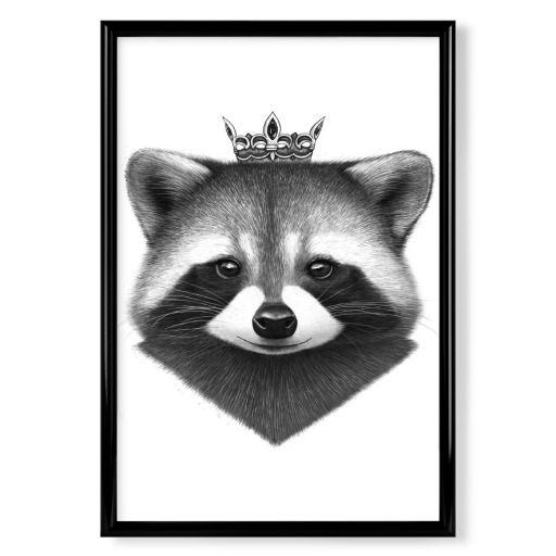 Queen raccoon