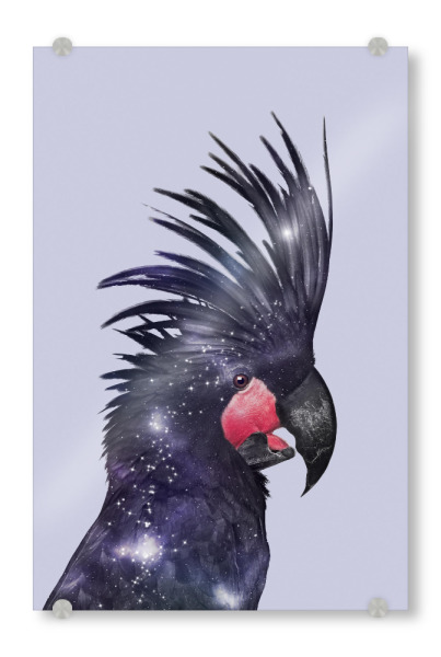 Acrylglasbild "GALAXY BIRD" artboxONE - Tiere,Fiktion,Galaxy
