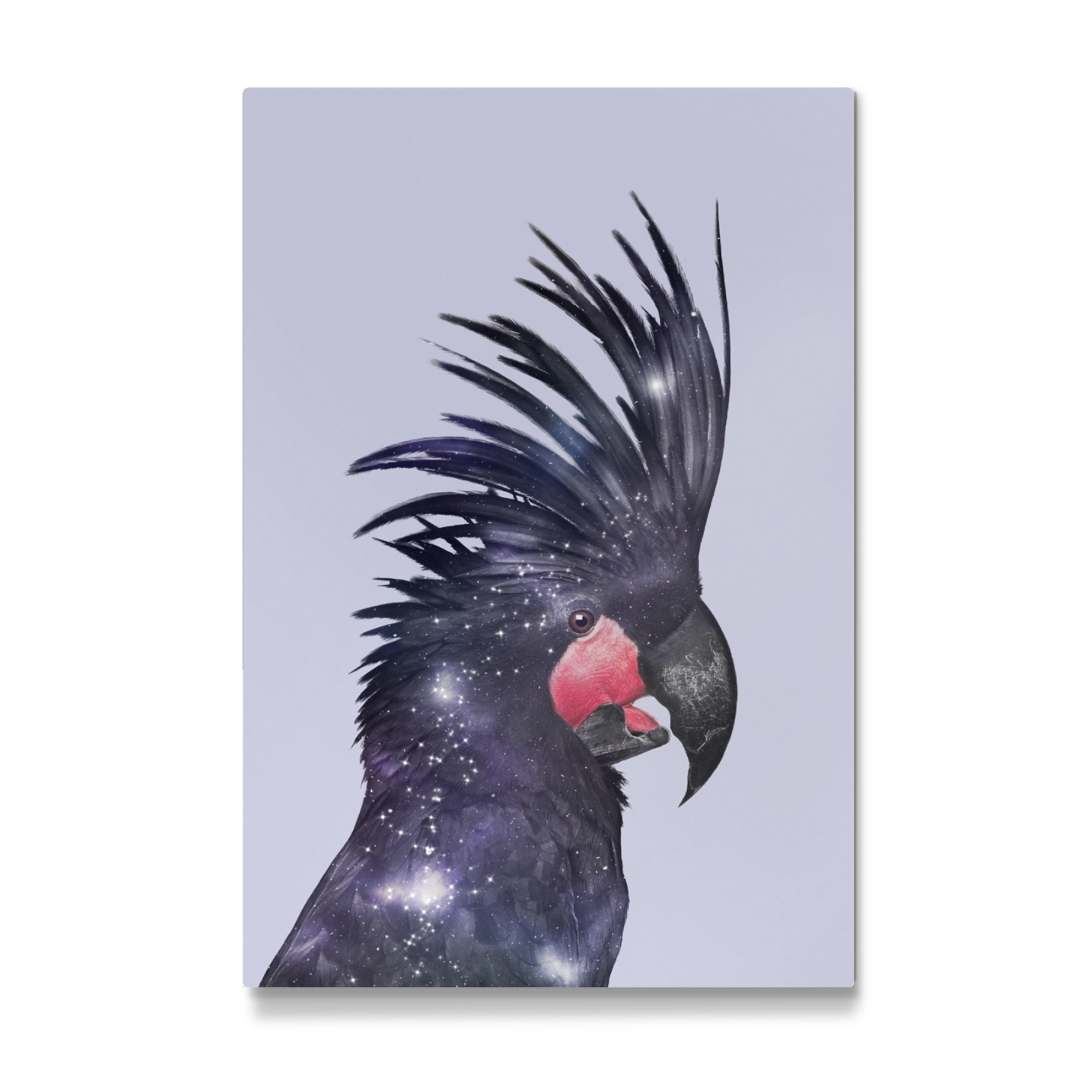 Galerie-Print "GALAXY BIRD" 75x50 cm artboxONE
