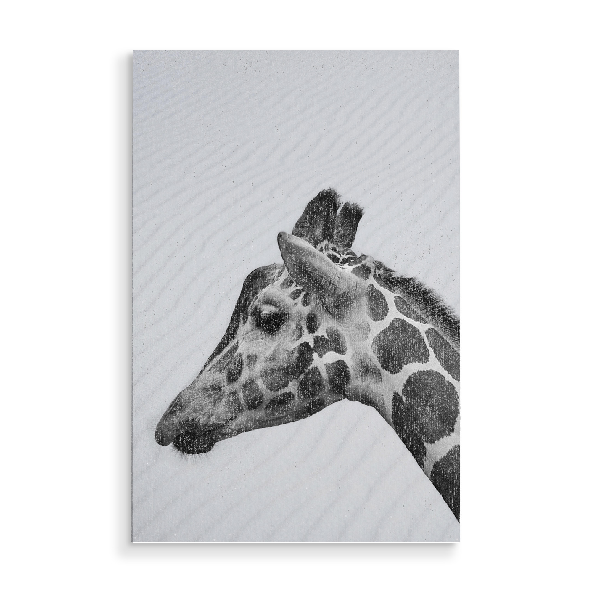 Holzbild "Giraffe Art" artboxONE - Tiere,Schwarzweiß,Reise / Afrika
