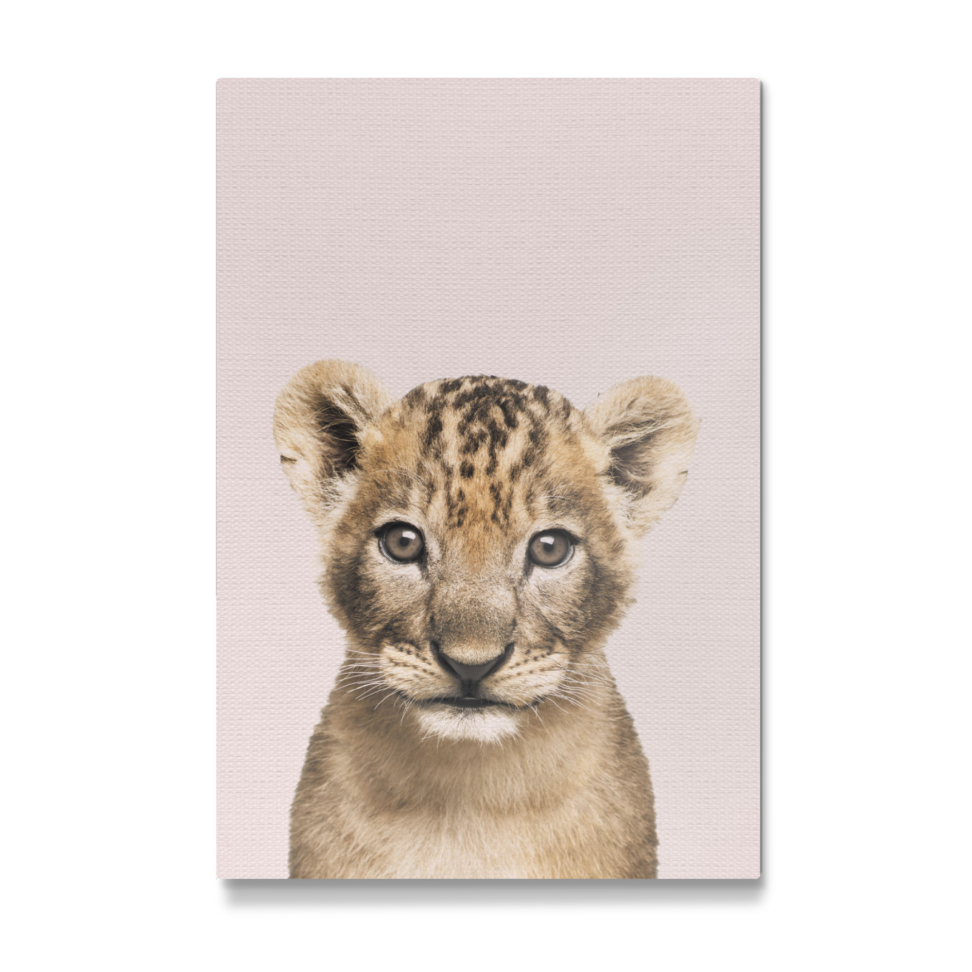 Galerie-Print "Lion Nursery" 30x20 cm artboxONE