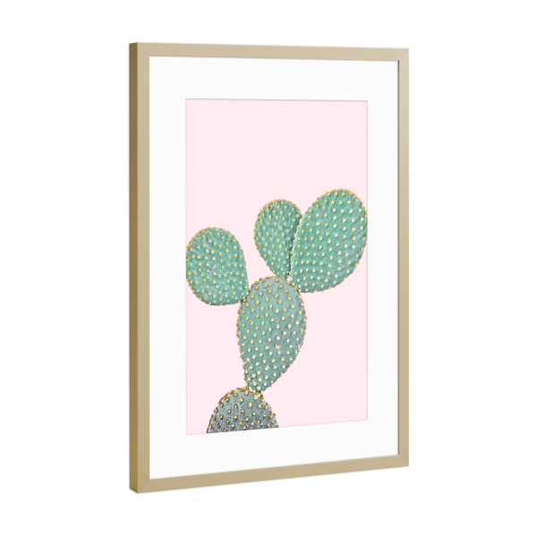 Poster mit Rahmen Gold "Blush Cactus Two" artboxONE - Natur,Floral