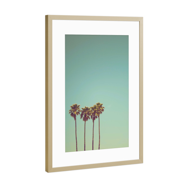 Poster mit Rahmen Gold "Palm Trees photography" artboxONE - Natur,Reise,Reise / Strand und Meer