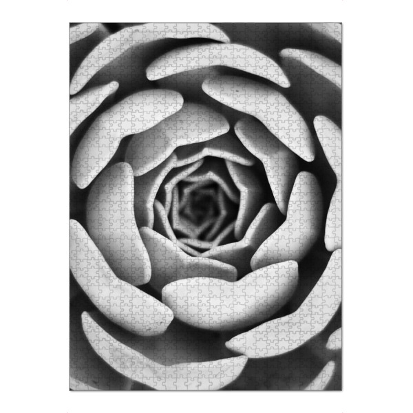 Puzzle Ravensburger "Succulent Wall Art" artboxONE - Natur,Floral,Schwarzweiß