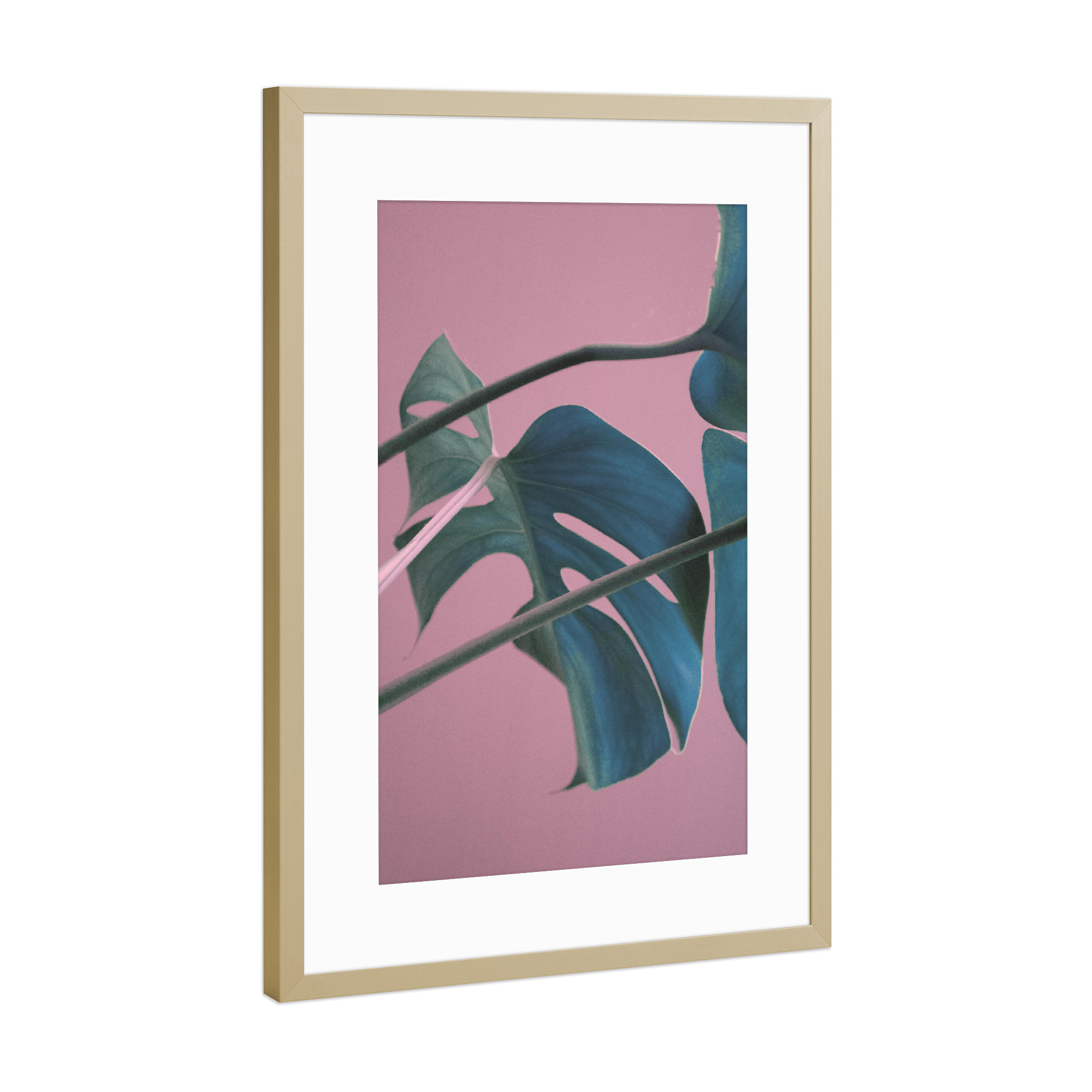 Poster mit Rahmen Gold "Sweet Pink Monstera Leaves" artboxONE - Natur,Floral - Monstera,Leaf,Pink,Tropical,Jungle,Plant,Exotic,Sweet,Pflanze,Blatt