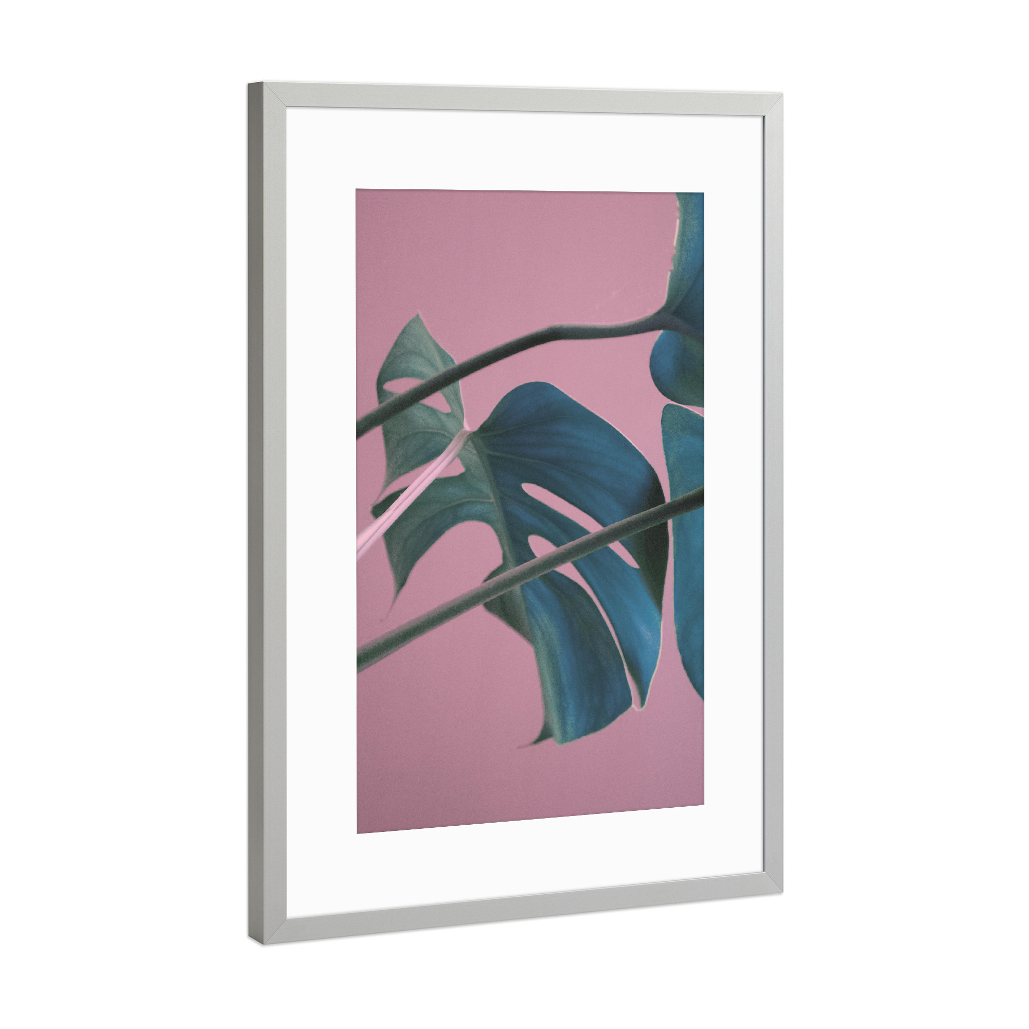 Poster mit Rahmen Silber "Sweet Pink Monstera Leaves" artboxONE - Natur,Floral - Monstera,Leaf,Pink,Tropical,Jungle,Plant,Exotic,Sweet,Pflanze,Blatt