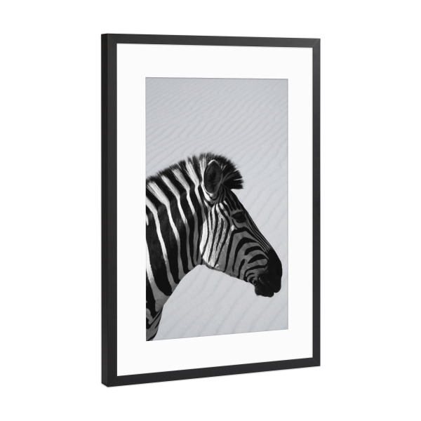 Poster mit Rahmen Schwarz (Metallic) "Zebra Animal" artboxONE - Natur,Tiere,Schwarzweiß,Reise / Afrika