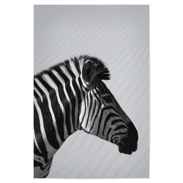 Poster "Zebra Animal" artboxONE - Natur,Tiere,Schwarzweiß,Reise / Afrika